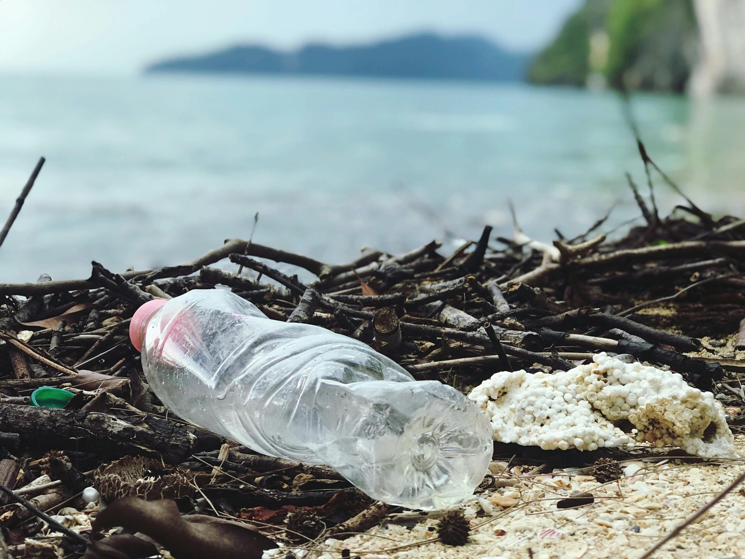 The Plastic Problem: Now We Need To Do Everything We Can To Curb It